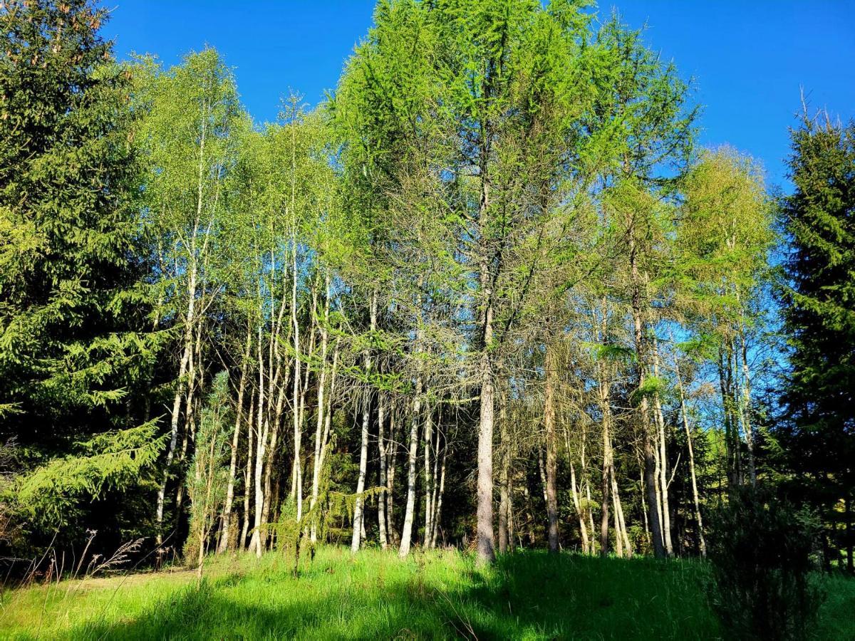 Dom Malarki Villa Miroslawiec Luaran gambar