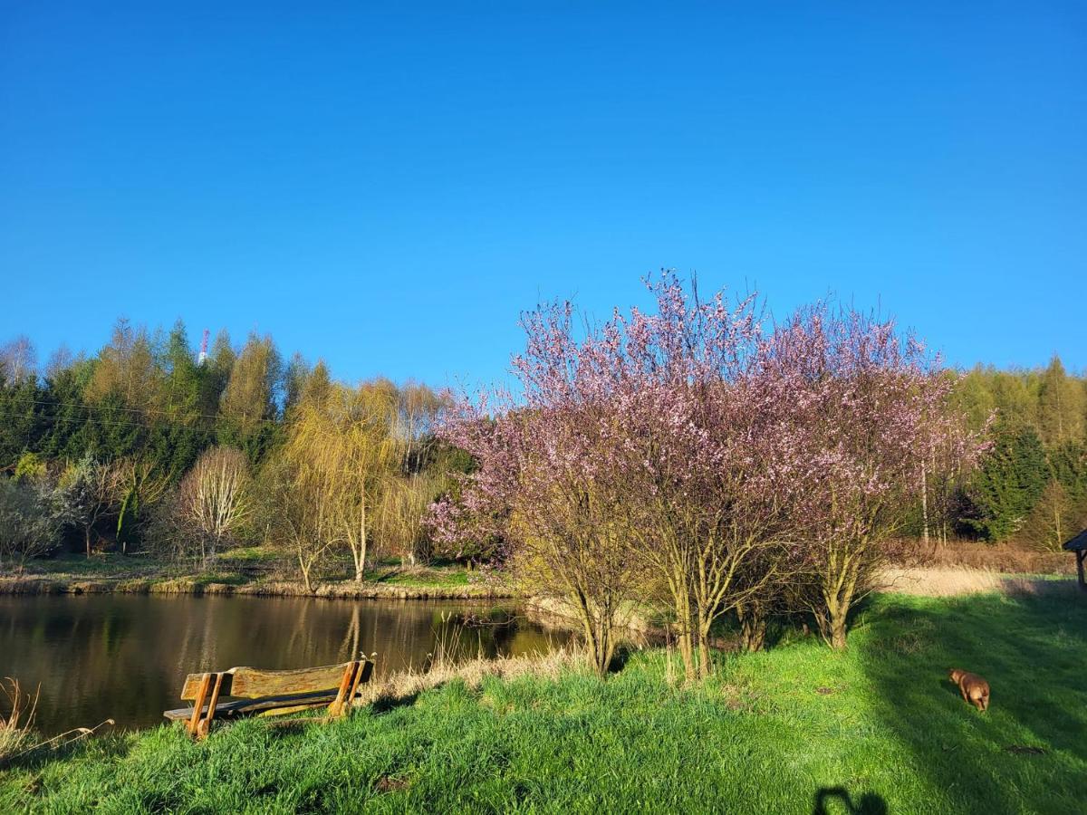 Dom Malarki Villa Miroslawiec Luaran gambar