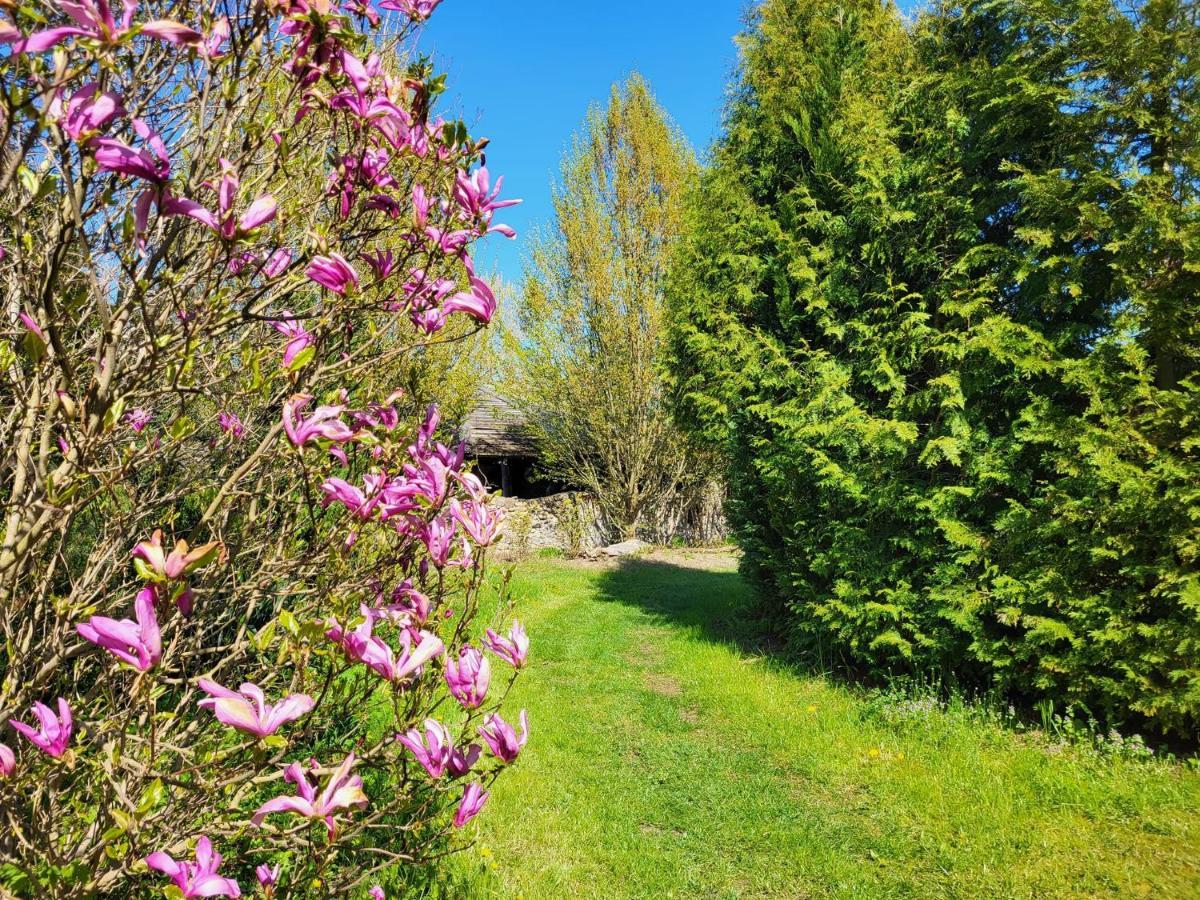 Dom Malarki Villa Miroslawiec Luaran gambar