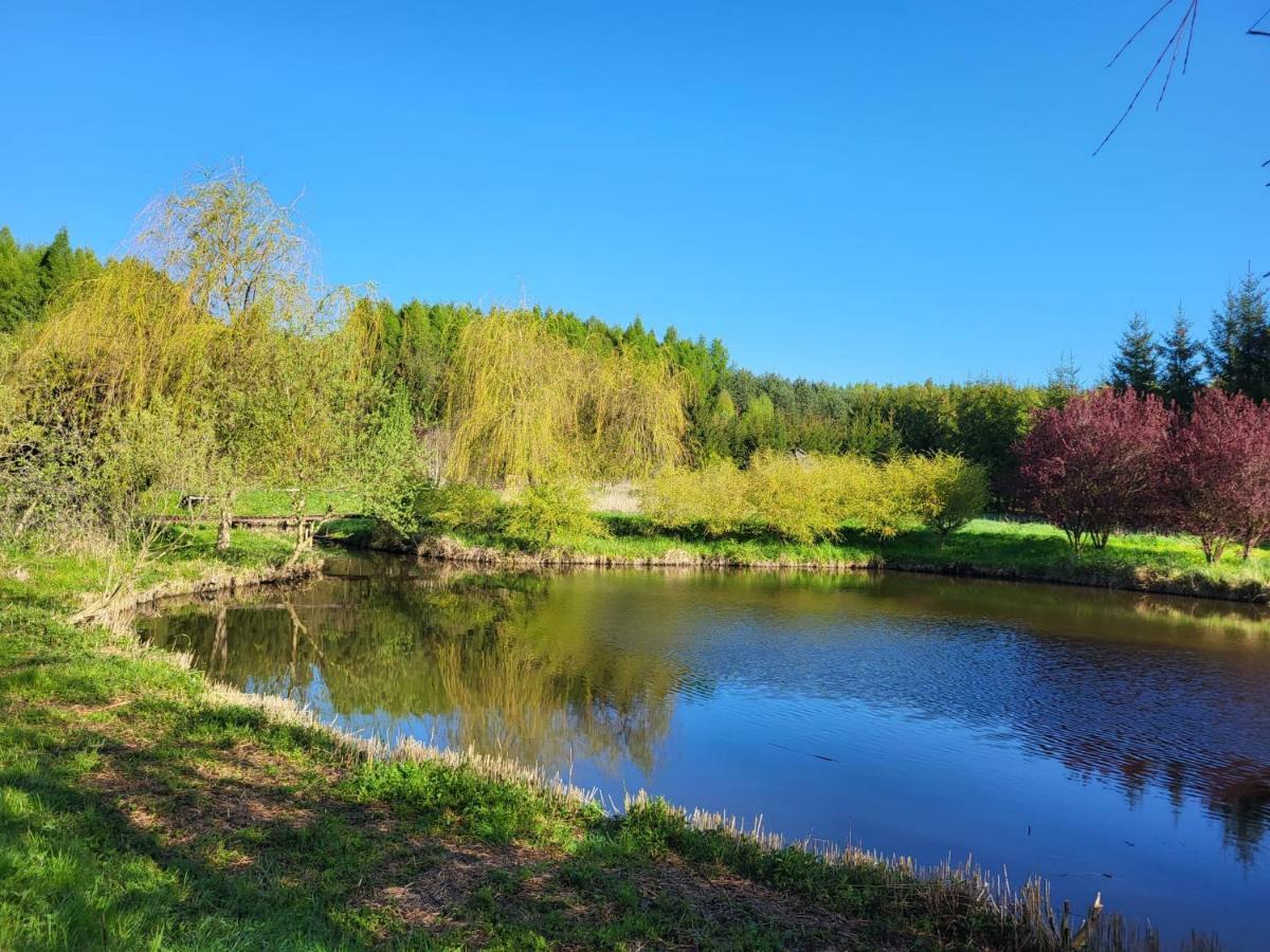 Dom Malarki Villa Miroslawiec Luaran gambar